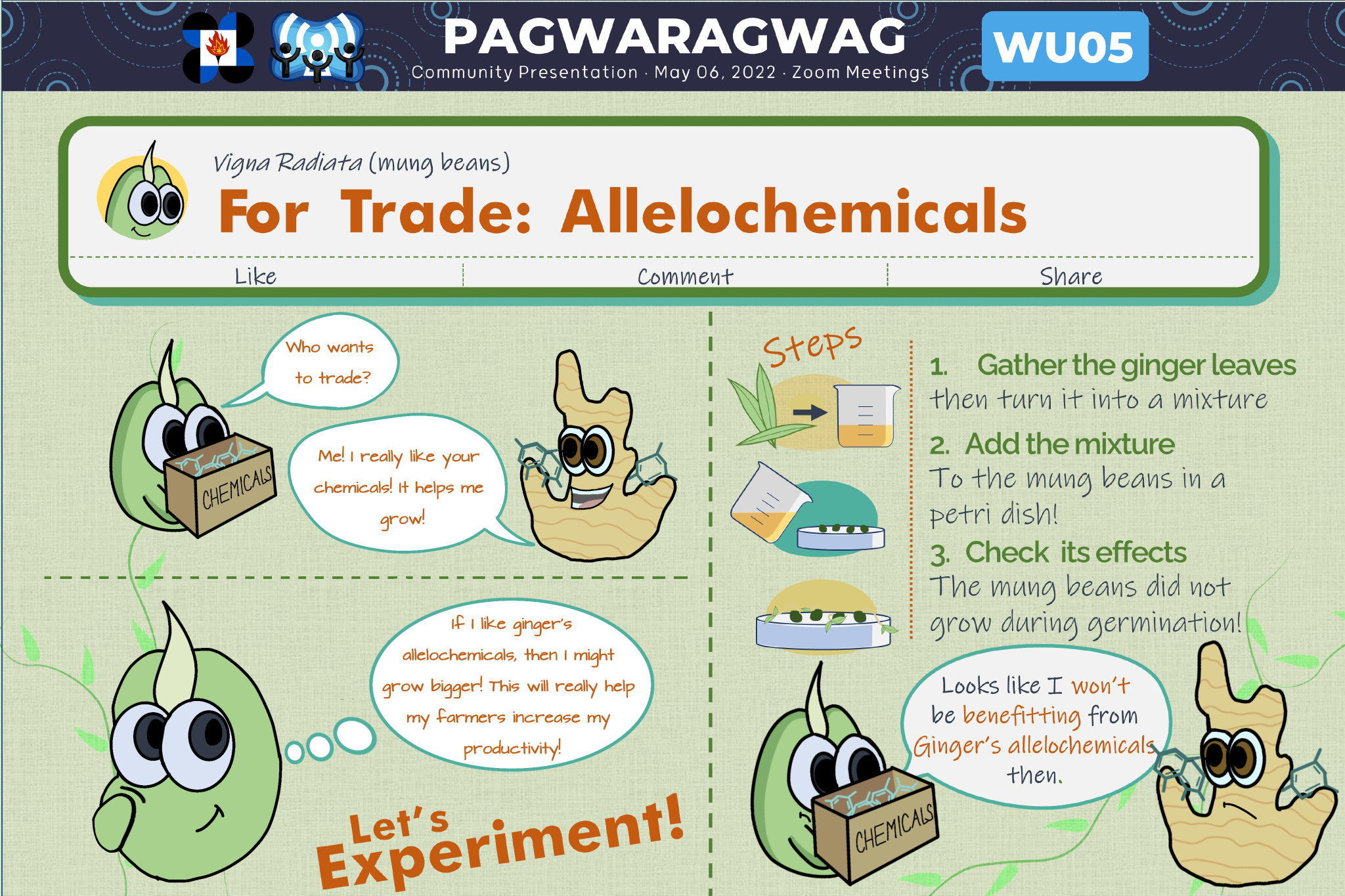 Allelopathic effects of Zingiber officinale (ginger) leaf extracts on